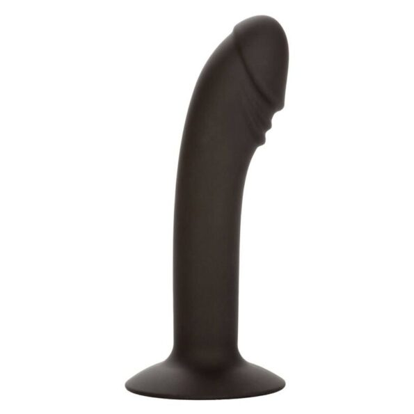 CALIFORNIA EXOTICS - STUD ANAL COURB?-CALIFORNIA EXOTICS-sextoys-lingerie-bdsm-hygiène-sexshop