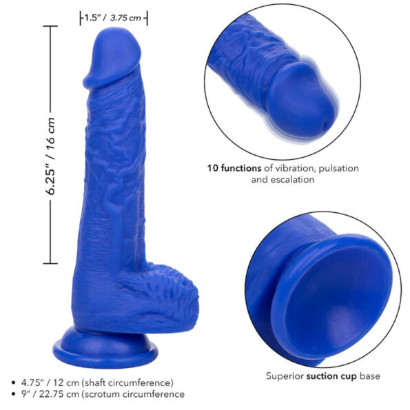 ADMIRAL - VIBRATEUR GODE RÉALISTE SAILOR BLEU-ADMIRAL-sextoys-lingerie-bdsm-hygiène-sexshop