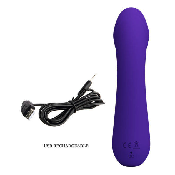 PRETTY LOVE - VIBRATEUR RECHARGEABLE CETUS VIOLET-PRETTY LOVE SMART-sextoys-lingerie-bdsm-hygiène-sexshop