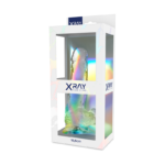 X RAY – HARNAIS + BITE TRANSPARENT AVEC BILLES 18.5 CM -O- 3.8 CM