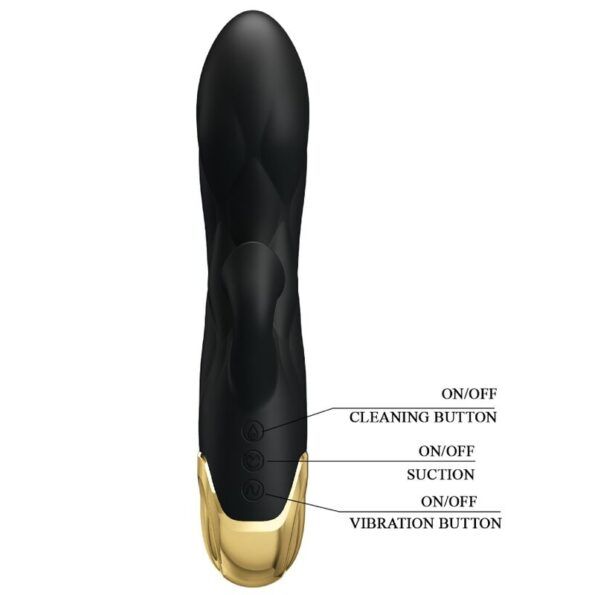 PRETTY LOVE - VIBRATEUR DE LUXE RECHARGEABLE NOIR PLAQUÉ OR-PRETTY LOVE C-TYPE-sextoys-lingerie-bdsm-hygiène-sexshop