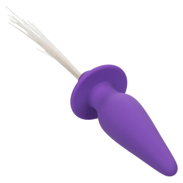 CALEXOTICS - SOUTHERN LIGHTS LIGHT UP PLUG ANAL10 VIBRATIONS SILICONE VIOLET-CALEXOTICS-sextoys-lingerie-bdsm-hygiène-sexshop