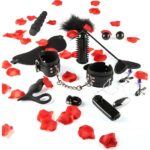 TOYJOY – JUST FOR YOU LOVE KIT DE DÉMARRAGE DE JOUETS