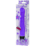 BAILE – VIBRATEUR DE MULTIVITESSES 21.5 CM VIOLET