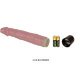 BAILE – VIBRATEUR NATUREL  PLUSIEURS VITESSES