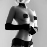 BIJOUX - CACHE-MALIN BURLESQUE BRILLANT AVEC NUD-BIJOUX BURLESQUE PASTIES-sextoys-lingerie-bdsm-hygiène-sexshop