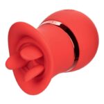 CALEXOTICS - ENSEMBLE FRENCH KISS SUCK & PLAY-CALEXOTICS-sextoys-lingerie-bdsm-hygiène-sexshop