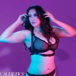 CALEXOTICS - EUPHORIA HARNAIS BOUCLE LICOL TAILLE PLUS NOIR-CALEXOTICS-sextoys-lingerie-bdsm-hygiène-sexshop