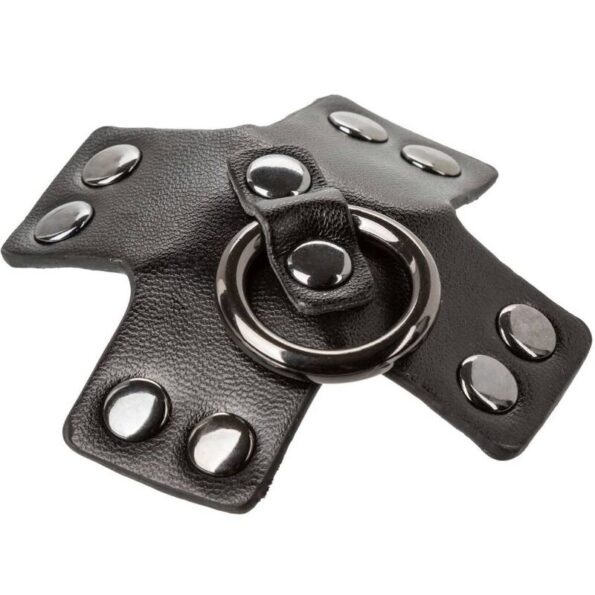 CALEXOTICS - EUPHORIA JOINT TORIQUE NOIR-CALEXOTICS-sextoys-lingerie-bdsm-hygiène-sexshop