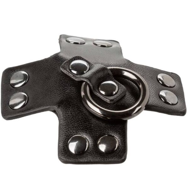 CALEXOTICS - EUPHORIA JOINT TORIQUE NOIR-CALEXOTICS-sextoys-lingerie-bdsm-hygiène-sexshop