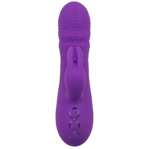 CALEXOTICS - MANHATTAN BEACH MARVEL VIBRATEUR RABBIT VIOLET PAR CALIFORNIA DREAMING-CALEXOTICS-sextoys-lingerie-bdsm-hygiène-sexshop
