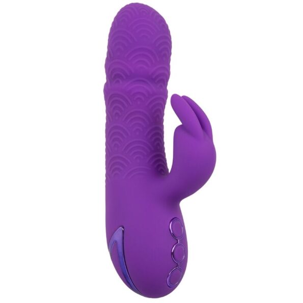 CALEXOTICS - MANHATTAN BEACH MARVEL VIBRATEUR RABBIT VIOLET PAR CALIFORNIA DREAMING-CALEXOTICS-sextoys-lingerie-bdsm-hygiène-sexshop