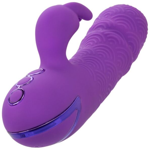 CALEXOTICS - MANHATTAN BEACH MARVEL VIBRATEUR RABBIT VIOLET PAR CALIFORNIA DREAMING-CALEXOTICS-sextoys-lingerie-bdsm-hygiène-sexshop