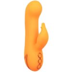 CALEXOTICS – MONTECITO MUSE VIBRATEUR LAPIN ORANGE PAR CALIFORNIA DREAMING