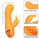 CALEXOTICS – MONTECITO MUSE VIBRATEUR LAPIN ORANGE PAR CALIFORNIA DREAMING