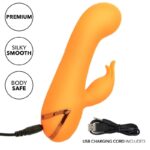 CALEXOTICS – MONTECITO MUSE VIBRATEUR LAPIN ORANGE PAR CALIFORNIA DREAMING