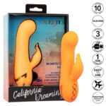 CALEXOTICS – MONTECITO MUSE VIBRATEUR LAPIN ORANGE PAR CALIFORNIA DREAMING