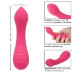 CALEXOTICS – PIXIES TEASER ROSE
