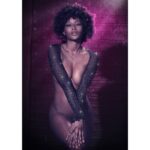 CALEXOTICS – RADIANCE SHUG DÉPAULE RHIN