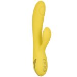 CALEXOTICS - SAN DIEGO SÉDUCTION-CALEXOTICS-sextoys-lingerie-bdsm-hygiène-sexshop