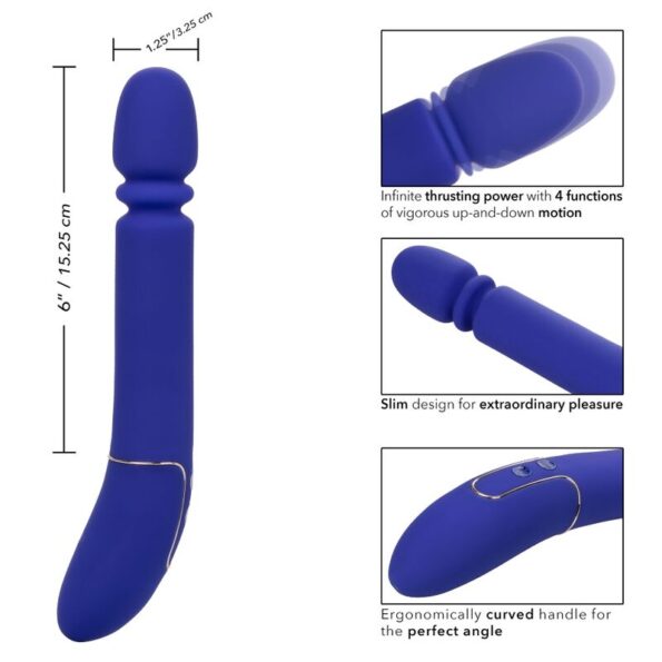 CALEXOTICS - SHAMELESS SLIM THUMPER BLEU-CALEXOTICS-sextoys-lingerie-bdsm-hygiène-sexshop