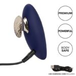 CALEXOTICS – STIMMULATEUR CHIC VIOLETTE 10 VITESSES