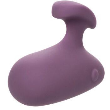 CALEXOTICS - STIMULATEUR MOD TOUCH VIOLET-CALEXOTICS-sextoys-lingerie-bdsm-hygiène-sexshop