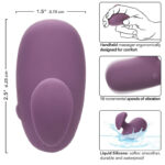 CALEXOTICS – STIMULATEUR MOD TOUCH VIOLET
