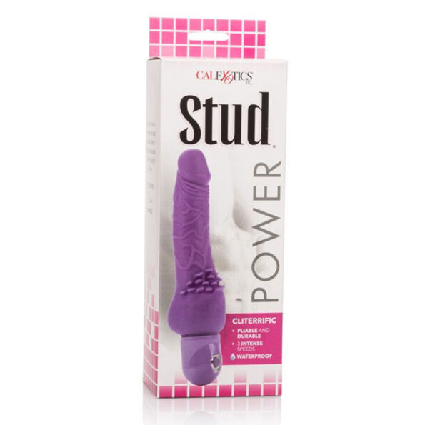 CALEXOTICS - VIBRATEUR VIOLET POWER STUD CLITERRIFIC-CALEXOTICS-sextoys-lingerie-bdsm-hygiène-sexshop