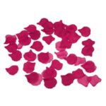 DIABLO PICANTE – 100 PÉTALES DE FUCHSIA