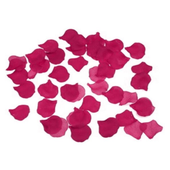 DIABLO PICANTE - 100 PÉTALES DE FUCHSIA-DIABLO PICANTE-sextoys-lingerie-bdsm-hygiène-sexshop
