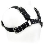 LEATHER BODY – HARNAIS BULL DOG NOIR
