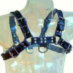LEATHER BODY – HARNAIS EN CUIR BLEU ET NOIR POITRINE BULLDOG