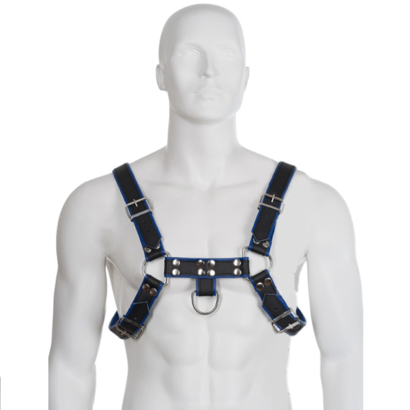 LEATHER BODY - HARNAIS EN CUIR BLEU ET NOIR POITRINE BULLDOG-LEATHER BODY-sextoys-lingerie-bdsm-hygiène-sexshop