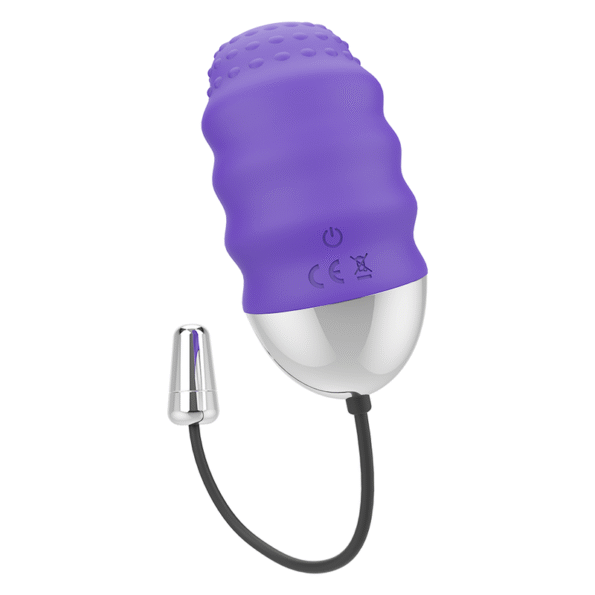 MR BOSS - TÉLÉCOMMANDE DENIS EGG-MR. BOSS-sextoys-lingerie-bdsm-hygiène-sexshop