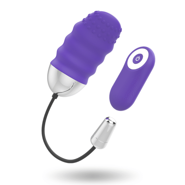 MR BOSS - TÉLÉCOMMANDE DENIS EGG-MR. BOSS-sextoys-lingerie-bdsm-hygiène-sexshop