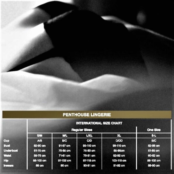 PENTHOUSE - PROFITEZ DU MOMENT TEDDY S/M/L-PENTHOUSE TEDDY-sextoys-lingerie-bdsm-hygiène-sexshop