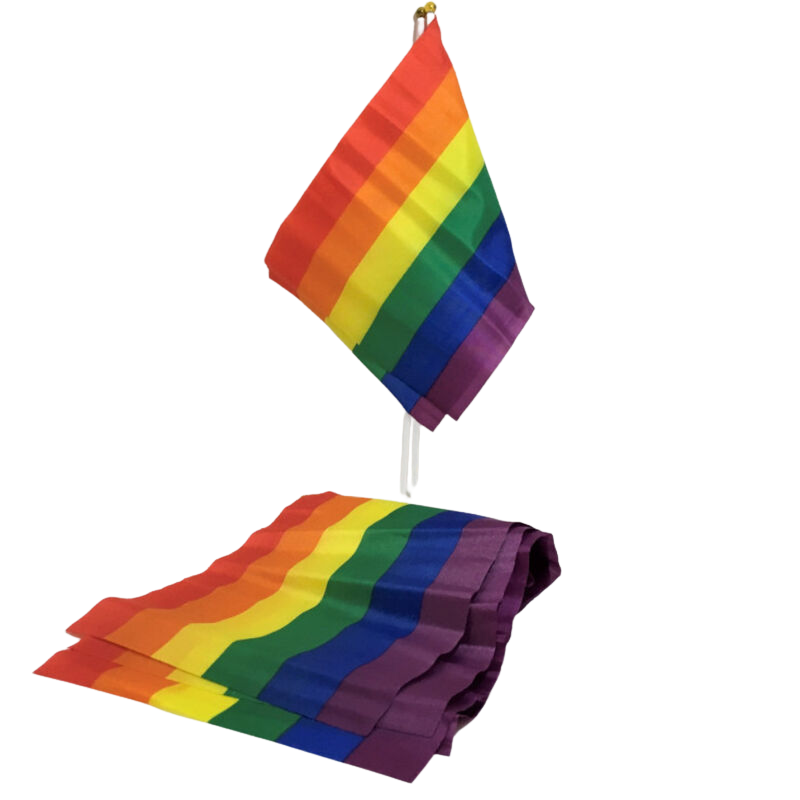PRIDE - PETITE BANNIÈRE DRAPEAU LGBT PRIDE - PETITE BANNIÈRE DRAPEAU LGBT-PRIDE-sextoys-lingerie-bdsm-hygiène-sexshop
