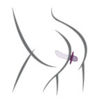 ROCKS-OFF – QUEST PROSTATE BULLET VIBRATEUR DE PROSTATE NOIR