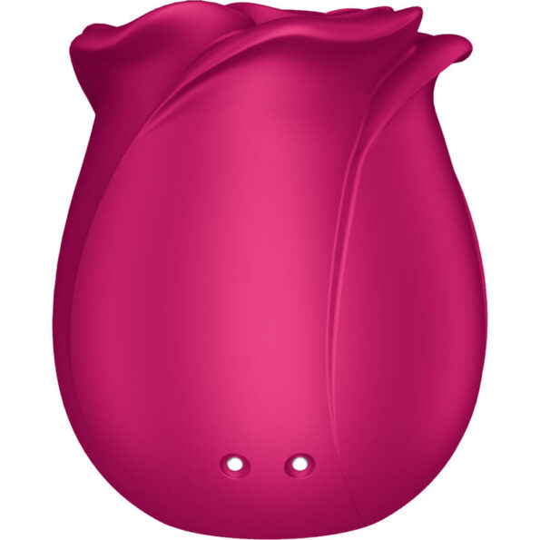SATISFYER - AIR PULSE VIBRATEUR FLEUR CLASSIQUE PRO 2-SATISFYER AIR PULSE-sextoys-lingerie-bdsm-hygiène-sexshop