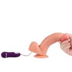 SHEQU – DILDO VIBRATEUR APOLO AVEC TÉLÉCOMMANDE 24