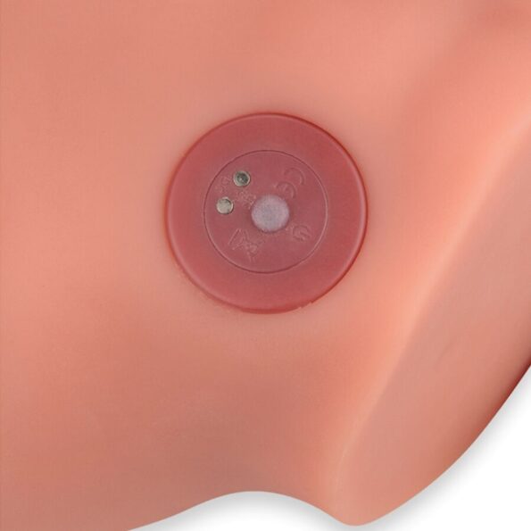 XISE - FREDERICO MASTURBATEUR GODE RÉALISTE POSITION FRONTALE AVEC POUSSÉE 15 CM-XISE-sextoys-lingerie-bdsm-hygiène-sexshop